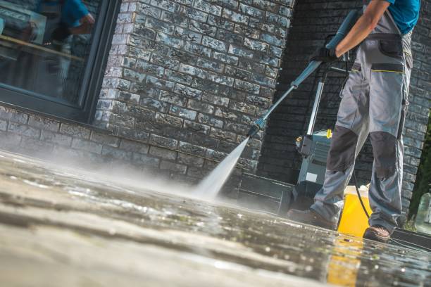 Best Roof Washing  in Celebration, FL